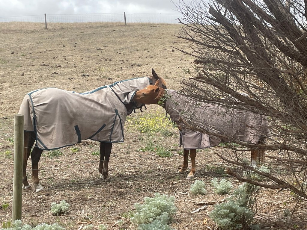 Navigating Relationships: Brown woman, white man, and&nbsp;objectification