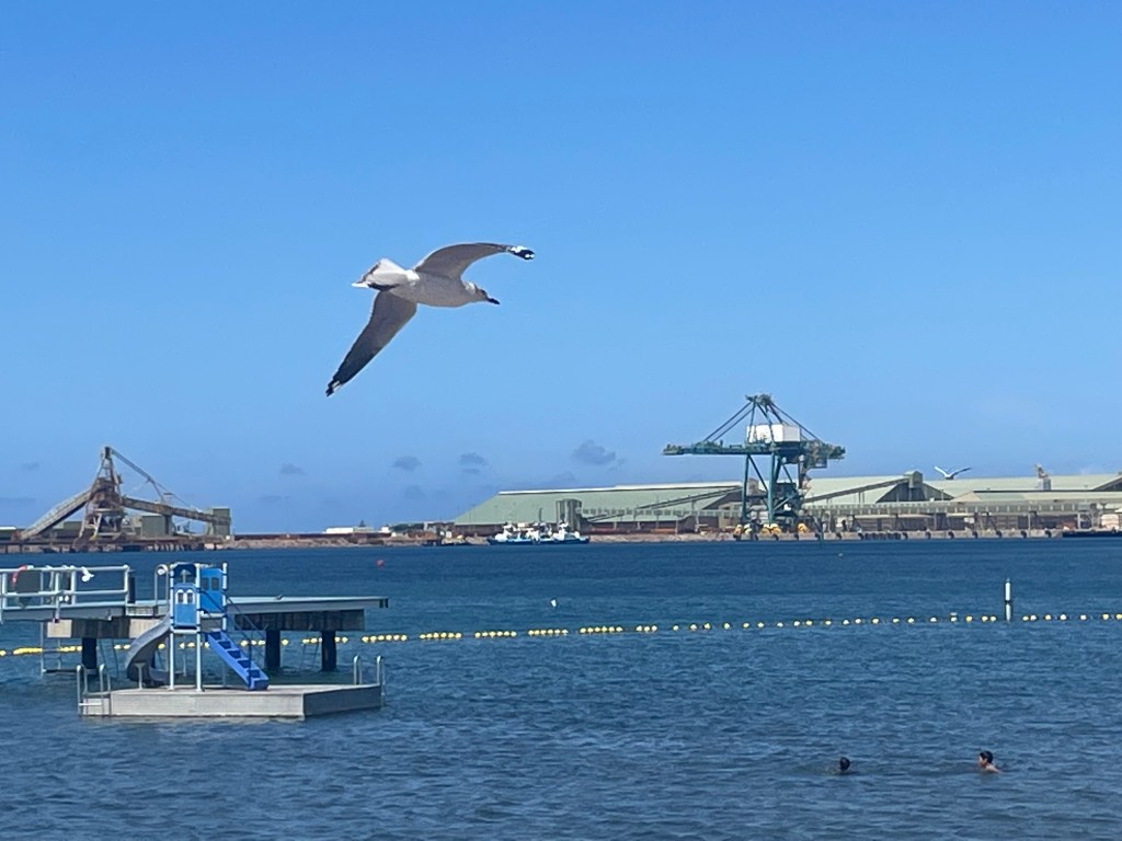 The Soul Death of White&nbsp;Colonisers